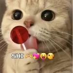 amorcito 