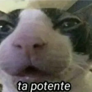 pBJGTm