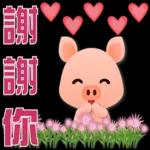 可愛豬 很想你