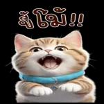 เป็นกำลังใจให้นะ