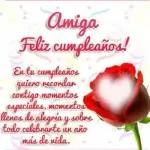  ¡Hermosas flores!🌹