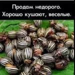 Вербное
