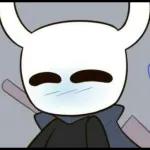 hollow knight 