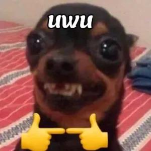 0j9WPQ