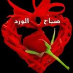 G
مساؤكم سعادة
ه
ه