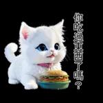 白色的貓尤其可愛