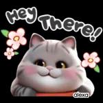 Funny Cat Stickers