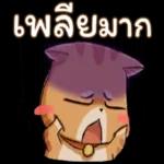 มันก็คือเซอร์ไพรส์ที่มีคุณ❤️❤️