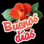 ¡YA LLEGUE! 104 DAY