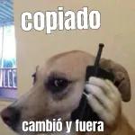 buenas Noches