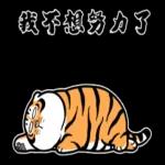 二虎的逗趣日常：我好无聊