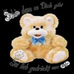 Alles kann warten nur das Leben's nicht! sile