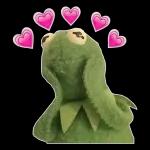 Wait... I'm confirming