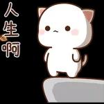 Mochi Peach Cat 2
                    
Mochi Peach Cat