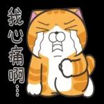 白烂猫   😎😎