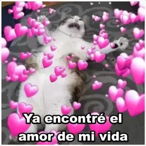 s4j6so9