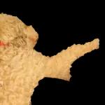 This is a photo of a dog pointing its finger.