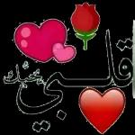متاز بارك الله فيك ئے