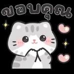 แมวมาร์คัส V.3 : HNY