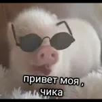 Яптваймайт