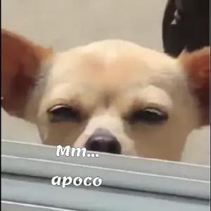 FuuwZG