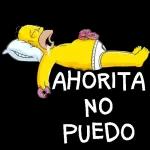 Estoy viendo NETFLIX No molestar!