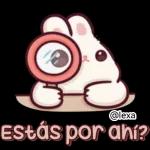 🎀🐰Andy, Conejo🐰🎀 2