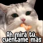 gatitos
