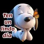 Pegatinas gratis
