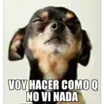 Ha comenzado la vida nocturna