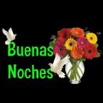 Buenas Noches