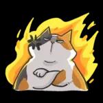 肥貓躺躺(上班鳥事)