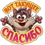 Отличного дня и привет n от меня! om