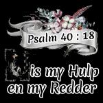 nr 988