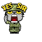 Yes Sir