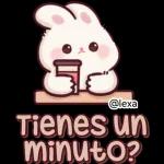 🎀🐰Andy, Conejo🐰🎀 2