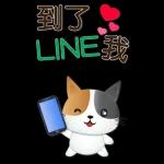 實用大貼圖 職場日常 可愛花貓