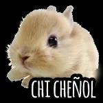 sai de mi cabeza 0 tu que necesito dormir