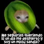 dios mio como es posible este suceso