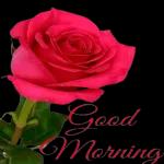 GOOD MORNING