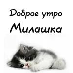 утро