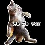 ya me voy