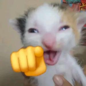 getsticker.com