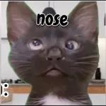 Gracias por el Visto