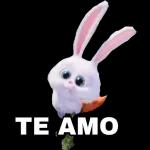 flork and bunny