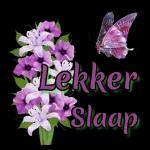 Lekker slaap 