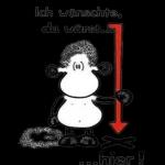 Alles kann warten nur das Leben's nicht! sile