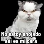 Hoy te toca