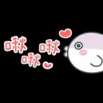 薩卡班甲魚 省空間★好愛老公! (老婆版)