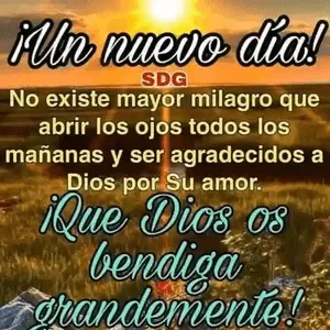 O9jqMd